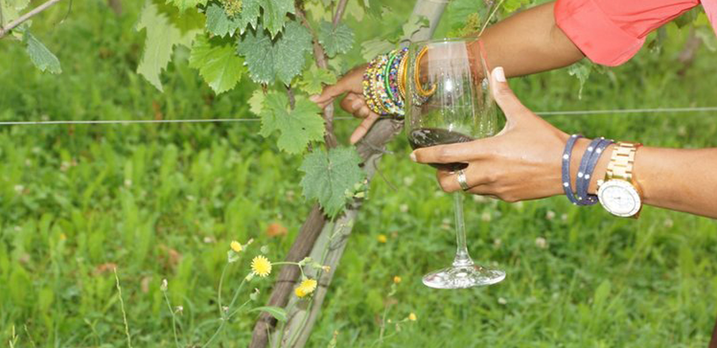 Visit to Valpanera Winery – Friuli, Italy